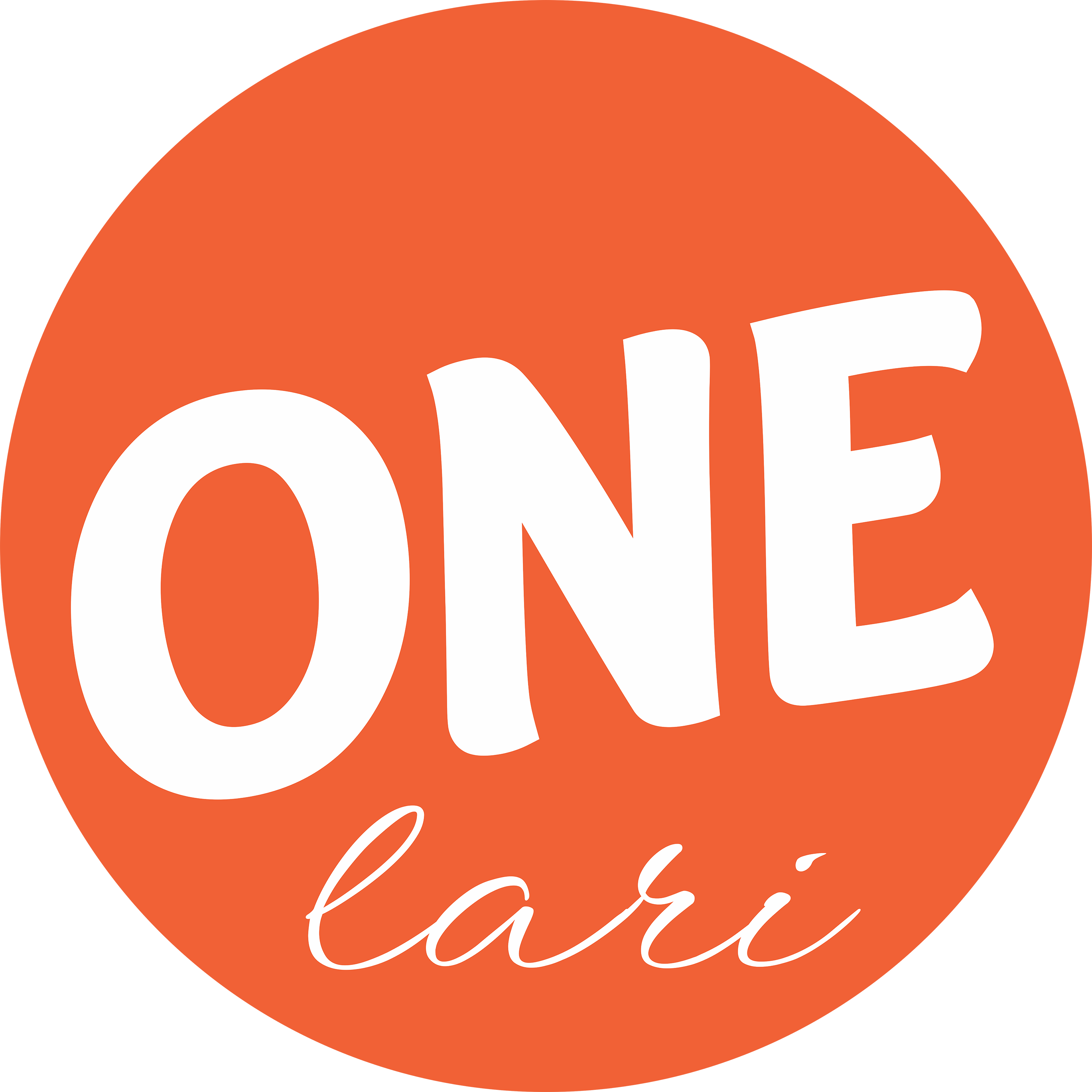 ONE LARI